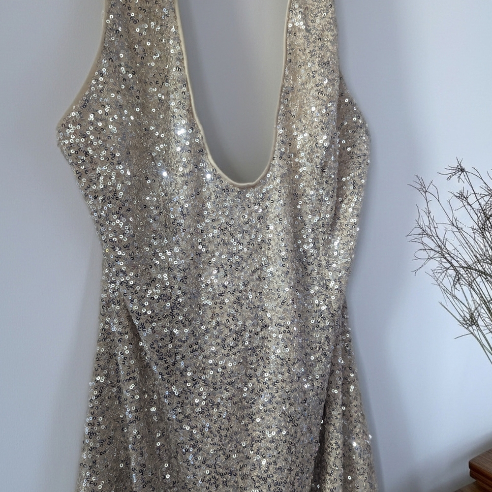 Lulu's Silver Sequin Backless Dress